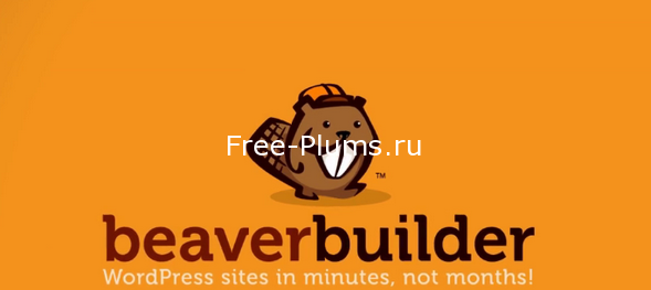 Beaver Builder Pro v2.6.2.2 - конструктор страниц для WordPress