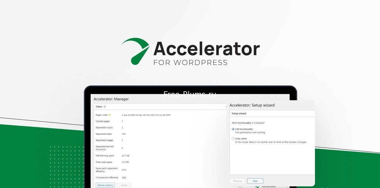 Seraphinite Accelerator Extended v2.20.51 NULLED